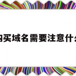 购买域名需要注意什么(购买域名的流程)