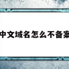 中文域名怎么不备案(中文域名需要维护费吗)