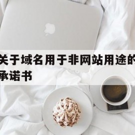 关于域名用于非网站用途的承诺书(域名的表述)