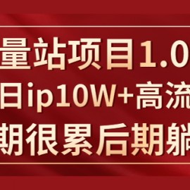 《大流量站项目1.0+2.0》打造日ip10W+高流量站，前期很累后期躺赚