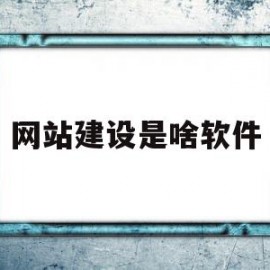 网站建设是啥软件(网站建设什么意思)