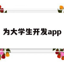 为大学生开发app(大学生app开发经费预算细表)