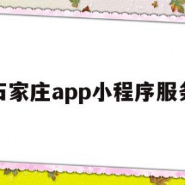 石家庄app小程序服务(石家庄app小程序服务平台)