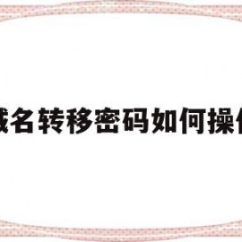 域名转移密码如何操作(域名转移给别人如何修改实名)