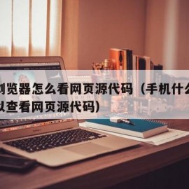 手机浏览器怎么看网页源代码（手机什么浏览器可以查看网页源代码）