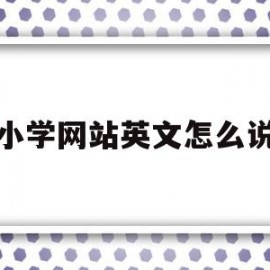 小学网站英文怎么说(小学网站英文怎么说怎么写)