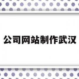 公司网站制作武汉(武汉企业网站制作公司)