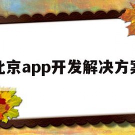 北京app开发解决方案(北京app开发解决方案有哪些)