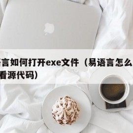 易语言如何打开exe文件（易语言怎么打开exe看源代码）