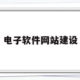 电子软件网站建设(电子软件网站建设方案)