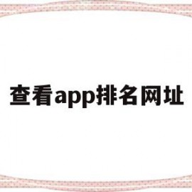 查看app排名网址的简单介绍