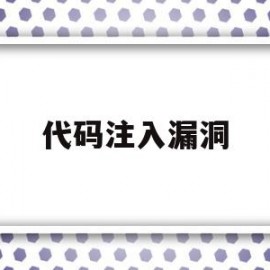 代码注入漏洞(代码注入器使用教程)