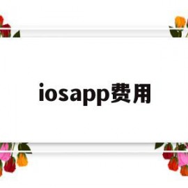 iosapp费用(iphone软件收费)