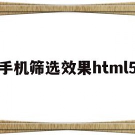 手机筛选效果html5(手机筛选怎么操作excel)