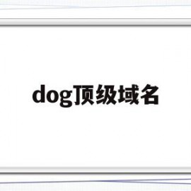 dog顶级域名(顶级域名为org的网站)