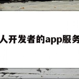 个人开发者的app服务器(个人开发者的app服务器有哪些)