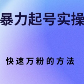 快手暴力起号实操教程，快速万粉的方法