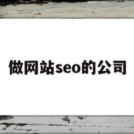 做网站seo的公司(网站做seo多少钱)