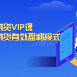 抖音直播带货VIP课，专注直播带货有效盈利模式