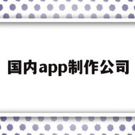 国内app制作公司(国内app制作公司排名)