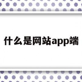 什么是网站app端(什么是网站什么是软件)