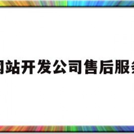 关于网站开发公司售后服务的信息