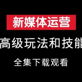 新媒体高级技能赚钱方法