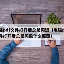 电脑pdf文件打开后总是闪退（电脑pdf文件打开后总是闪退什么原因）