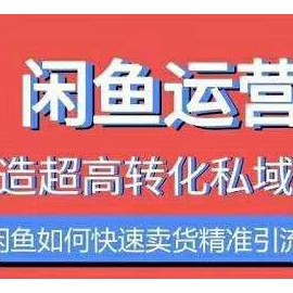 闲鱼如何快速卖货精准引流打造私域流量池