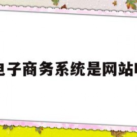 电子商务系统是网站吗(电子商务系统是信息流资金流物流和商流的整合其中最重要的是)