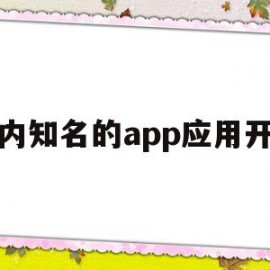 国内知名的app应用开发(app开发的知名公司有哪些)