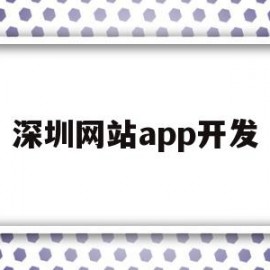 深圳网站app开发(深圳开发app的软件公司)