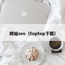 网站seo（toptop下载）