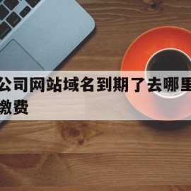 公司网站域名到期了去哪里缴费(网站域名到期不续费会自动注销吗)