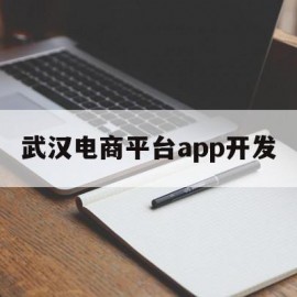 武汉电商平台app开发(湖北武汉电商运营骗局名单)