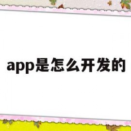 app是怎么开发的(手机app怎么开发出来的)