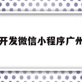 开发微信小程序广州(广州小程序开发公司排行榜)