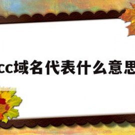 cc域名代表什么意思(cc域名是国际域名吗)