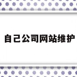 自己公司网站维护(公司网站维护好做吗)