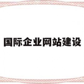 国际企业网站建设(国际企业网站建设方案)