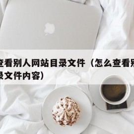 怎么查看别人网站目录文件（怎么查看别人网站目录文件内容）