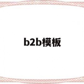 b2b模板(b2b模板图片)