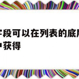 使字段可以在列表的底层模板中获得(可以在列表中选择内容作为添入字段的内容的数据类型是)