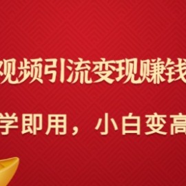 快手短视频引流变现赚钱全攻略：即学即用，小白变高手（价值398元）