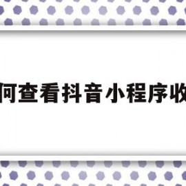 如何查看抖音小程序收益(抖音小程序从哪里看赚了多少钱)