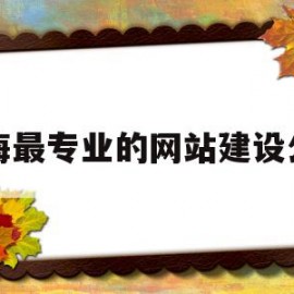 上海最专业的网站建设公司(上海最专业的网站建设公司是哪家)