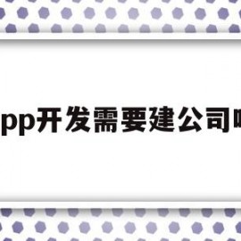 app开发需要建公司吗(app开发需要建公司吗安全吗)