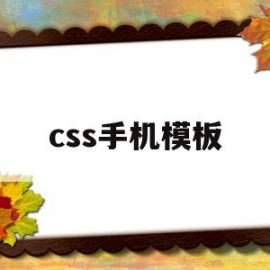 css手机模板(css手机app的样式使用什么语言)