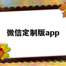 微信定制版app(微信定制版app魅蓝下载)