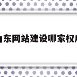 山东网站建设哪家权威(山东网站建设哪家权威公司好)